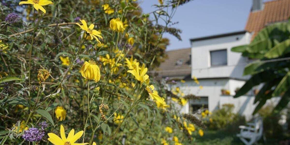 Einfamilienhaus Düsseldorf Urdenbach - 4 Zimmer, 145 m&sup2;, 325.000&euro; | Angebot:26175957