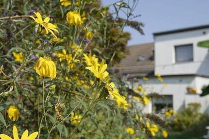 Haus Düsseldorf Urdenbach - 4 Zimmer, 145 m&sup2;, 325.000&euro; | Angebot:26175957