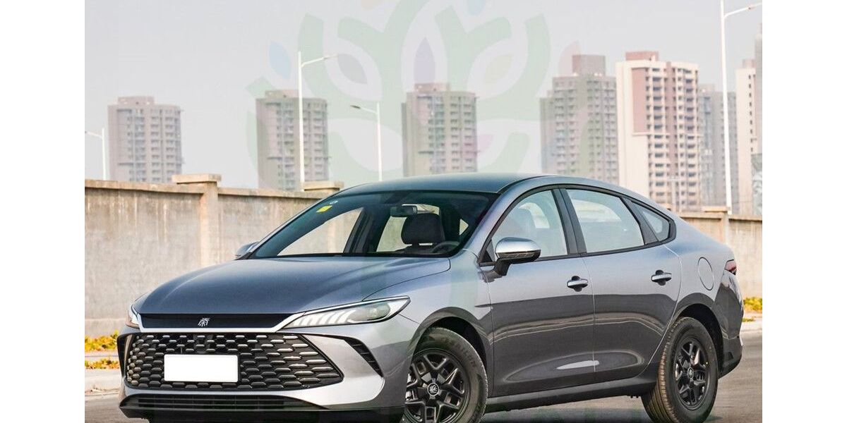 BYD Andere 8.000 km 21.950 &euro; Ratingen 40882