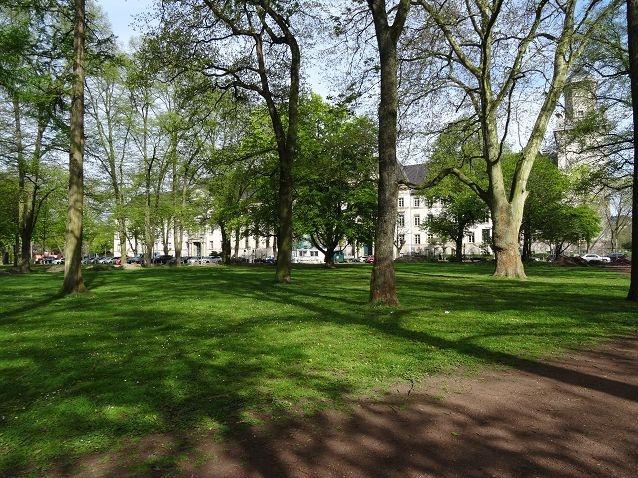 Etagenwohnung Krefeld - 1 Zimmer, 34 m&sup2;, 595&euro; | Angebot:24380198