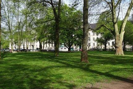 Wohnung Krefeld - 1 Zimmer, 34 m&sup2;, 595&euro; | Angebot:24380198