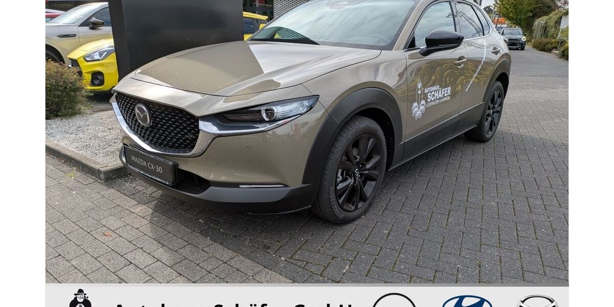 Mazda CX-30 2.766 km 25.888 &euro; Leverkusen 51373