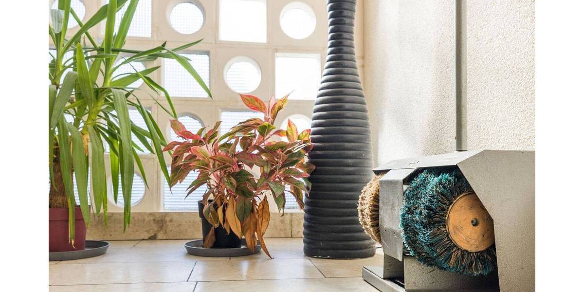 Gewerbeobjekt Neuss Gnadental - 2 Zimmer, 1.990.000&euro; | Angebot:26141266