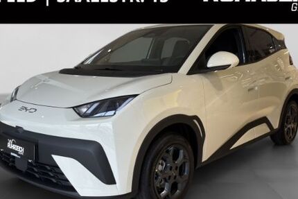 BYD DOLPHIN 2.000 km 22.290 &euro; Krefeld 47800