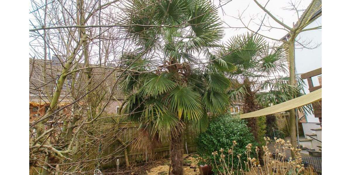 Einfamilienhaus Tönisvorst St. Tönis - 7 Zimmer, 224 m&sup2;, 359.000&euro; | Angebot:25691140