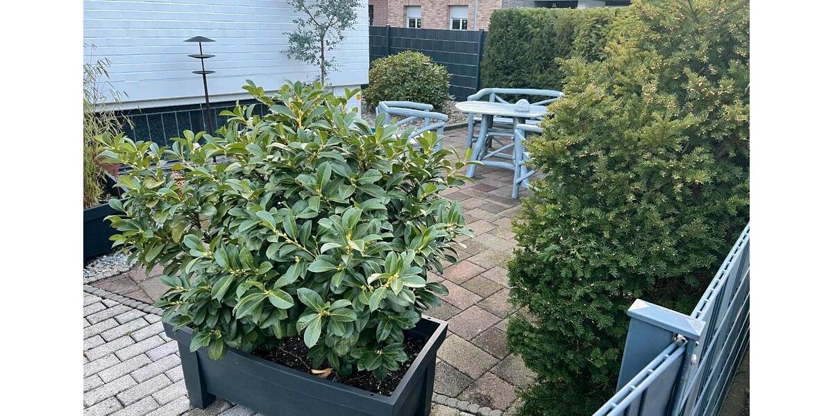 Bungalow Mönchengladbach Nord - 3 Zimmer, 98 m&sup2;, 299.000&euro; | Angebot:26216228