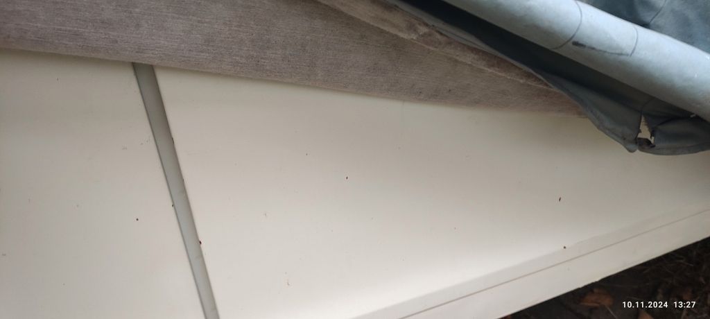 Citroen 2 CV 99.000 km 7.997 &euro; Grevenbroich 41515