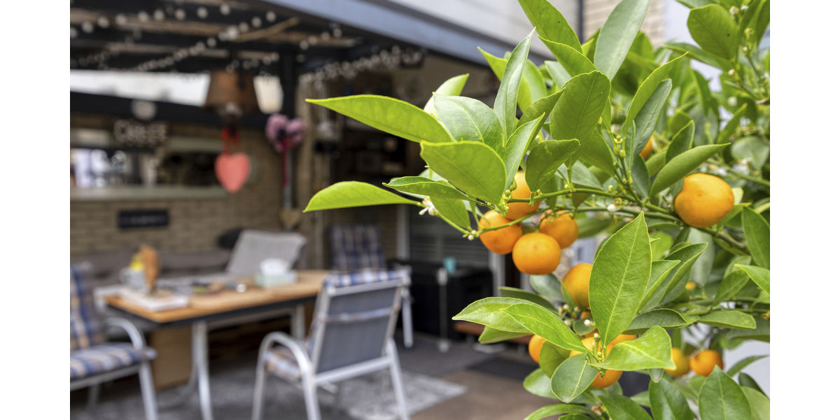 Top gepflegtes Reihenmittelhaus mit gemütlichem Garten, Terrasse und Garage in beliebter Wohnlage - Reihenmittelhaus Pulheim / Brauweiler Brauweiler | Angebot:27285366
