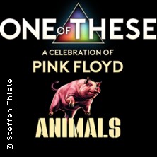 One Of These – A celebration of Pink Floyd / Animals Tour 24.04.2026 Gaststätte Norhausen