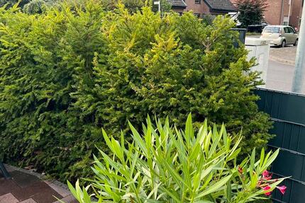 Haus Mönchengladbach Nord - 3 Zimmer, 98 m&sup2;, 299.000&euro; | Angebot:26216228