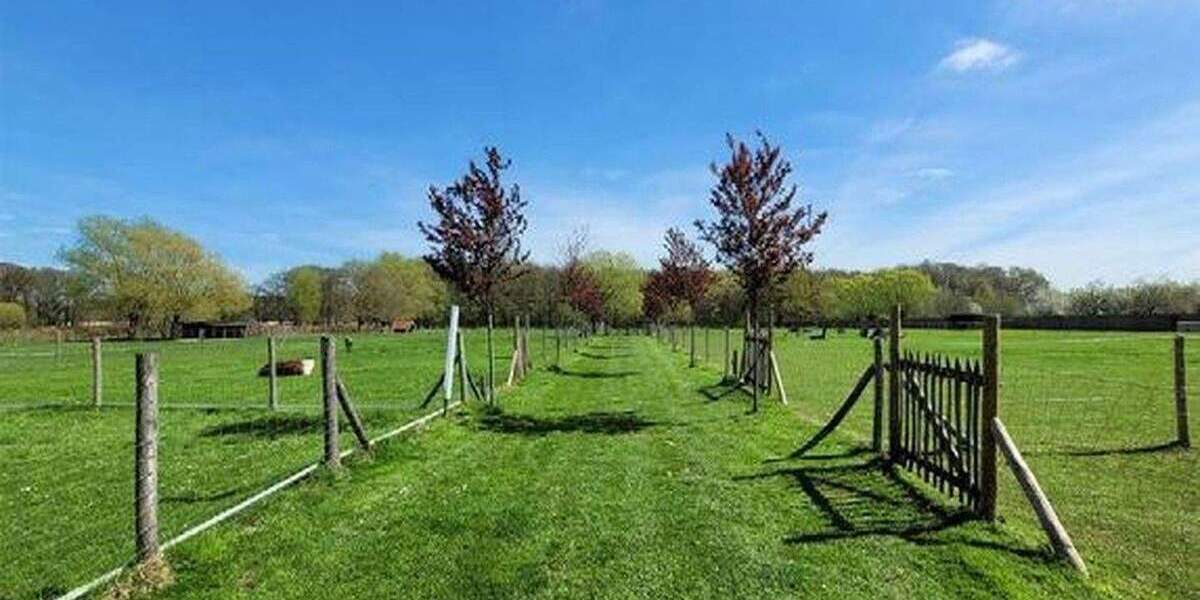 Mehrfamilienhaus, Wohnhaus Niederkrüchten Laar - 1 Zimmer, 703 m&sup2;, 2.890.000&euro; | Angebot:25720706