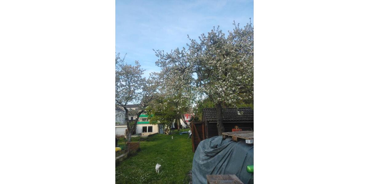 Einfamilienhaus Krefeld Fischeln - 8 Zimmer, 160 m&sup2;, 1.180.000&euro; | Angebot:26200660