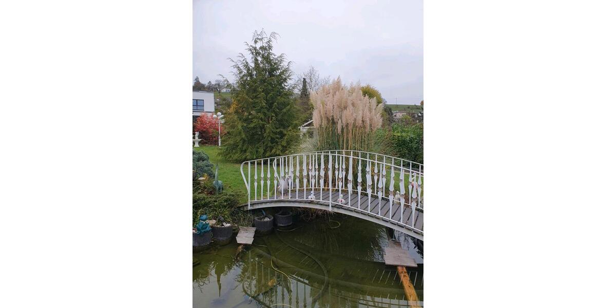 Einfamilienhaus Bergheim - 6 Zimmer, 165 m&sup2;, 595.000&euro; | Angebot:26253399