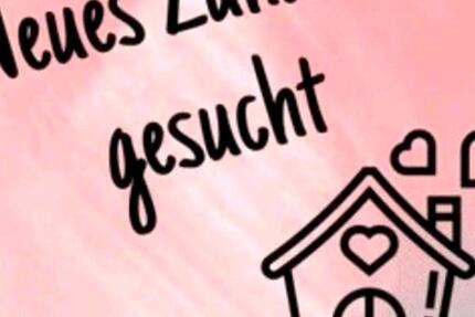 Wohnung Krefeld Bockum - 3 Zimmer, 80 m&sup2;, 1.300&euro; | Angebot:25769635