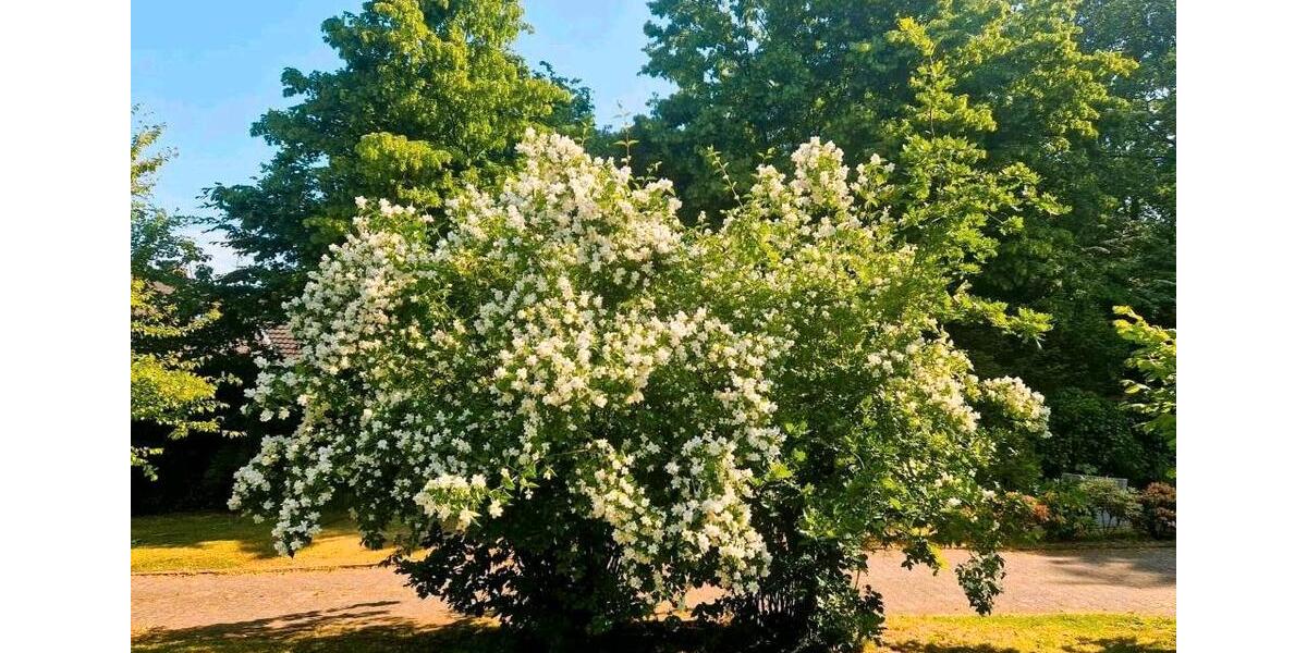 Einfamilienhaus Niederkrüchten - 5 Zimmer, 120 m&sup2;, 479.000&euro; | Angebot:25796264