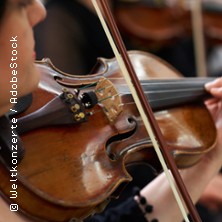 Vivaldi - Die Vier Jahreszeiten - Kammerorchester der Neuen Philharmonie Hamburg 27.11.2026 Robert-Schumann-Saal