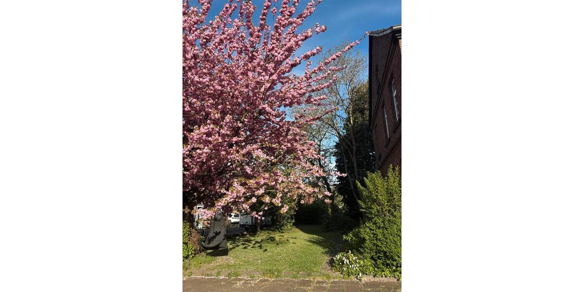Einfamilienhaus Bergheim Auenheim - 9 Zimmer, 300 m&sup2;, 670.000&euro; | Angebot:26990660