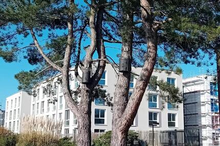 Wohnung Jülich - 1 Zimmer, 25 m&sup2;, 398&euro; | Angebot:25215032