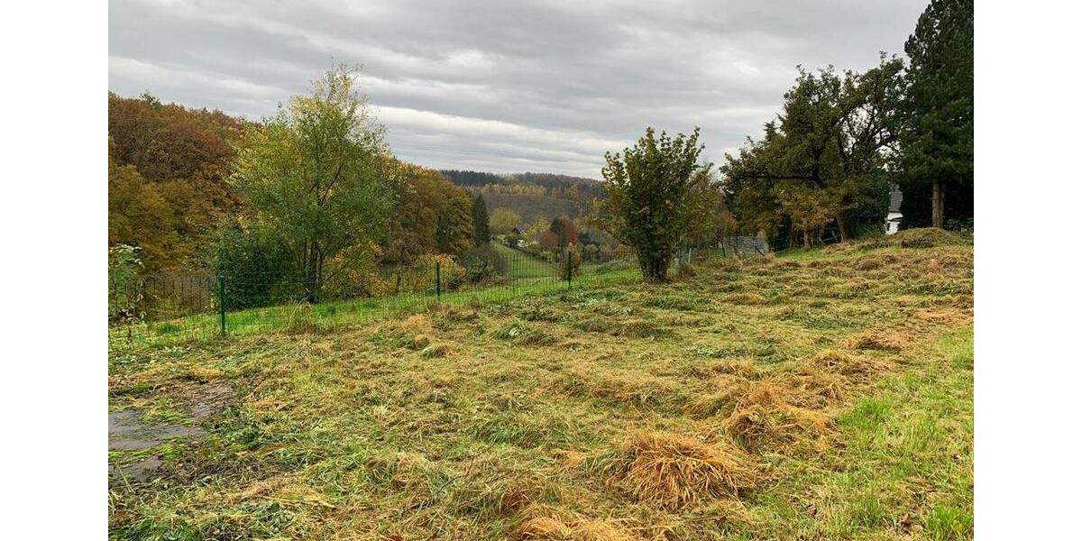 Doppelhaushälfte Dormagen - 5 Zimmer, 130 m&sup2;, 250.000&euro; | Angebot:26144259