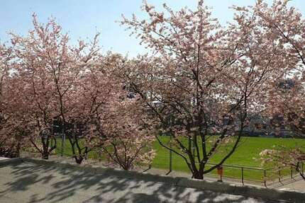 Zimmer Düsseldorf Derendorf - 1 Zimmer, 1.700&euro; | Angebot:22848373