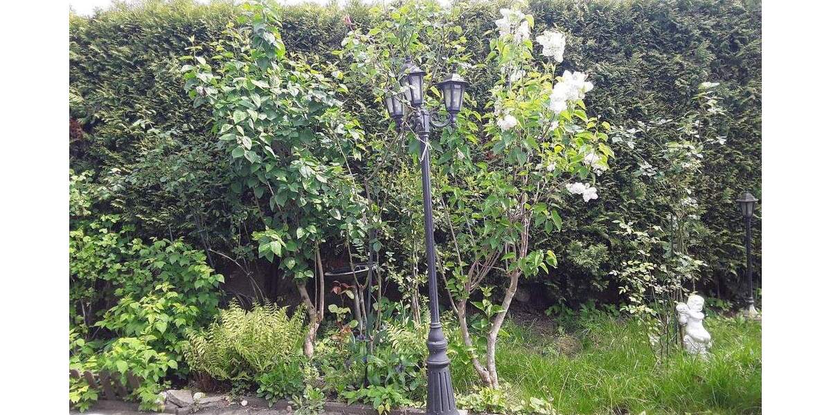 Mehrfamilienhaus, Wohnhaus Kerpen Horrem - 8 Zimmer, 170 m&sup2;, 529.000&euro; | Angebot:25782124