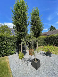 Korschenbroich Neersbroich, freistehend, Extraklasse! - Einfamilienhaus Korschenbroich | Angebot:26116417