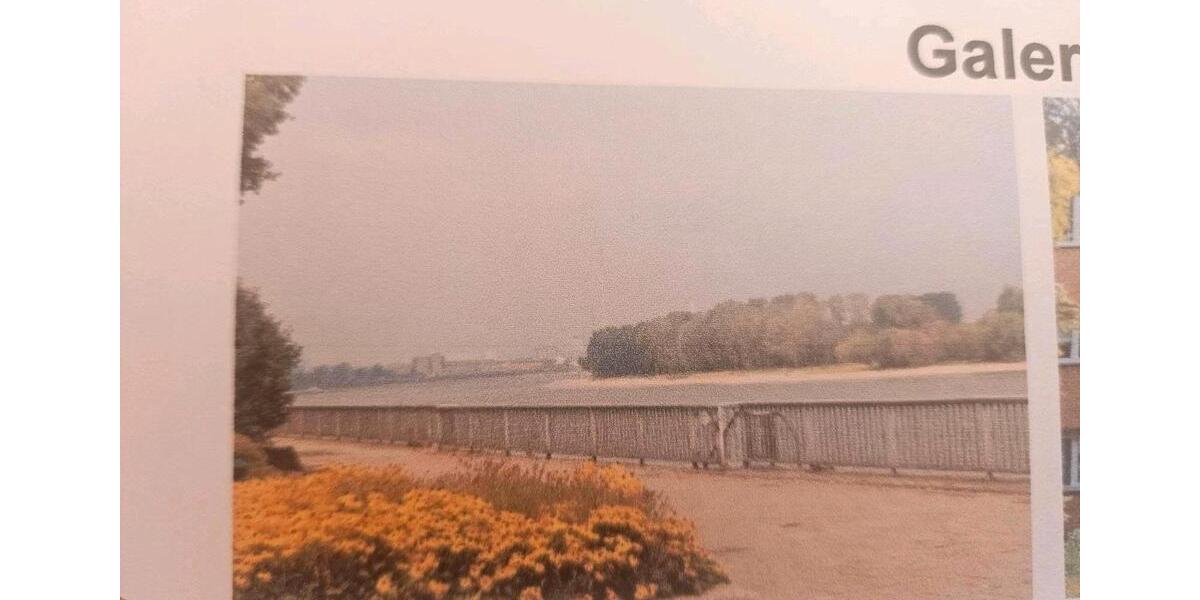 Terrassenwohnung Köln Nippes - 3 Zimmer, 75 m&sup2;, 340.000&euro; | Angebot:26215417