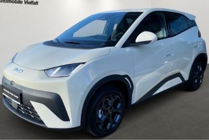 BYD DOLPHIN 1.500 km 27.930 &euro; Korschenbroich 41352