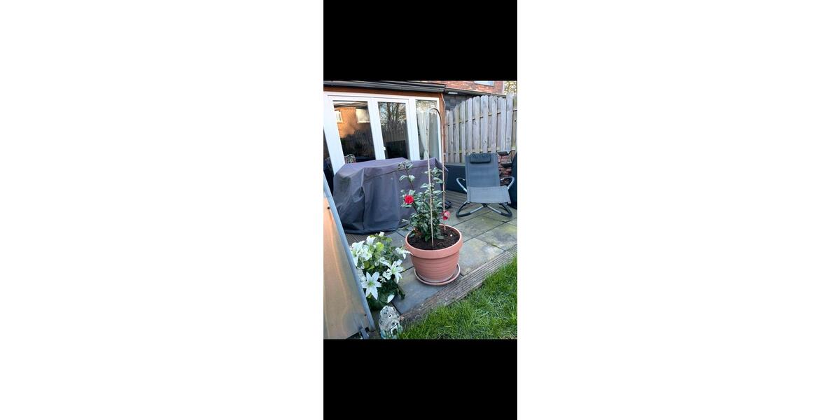 Reihenhaus Neuss Reuschenberg - 5 Zimmer, 109 m&sup2;, 385.000&euro; | Angebot:26221163