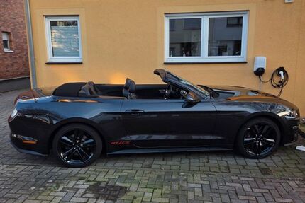 Ford Mustang 24.000 km 46.800 &euro; Pulheim 50259