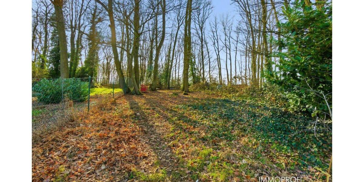 Doppelhaushälfte Wassenberg Myhl - 5 Zimmer, 135 m&sup2;, 369.000&euro; | Angebot:26038250