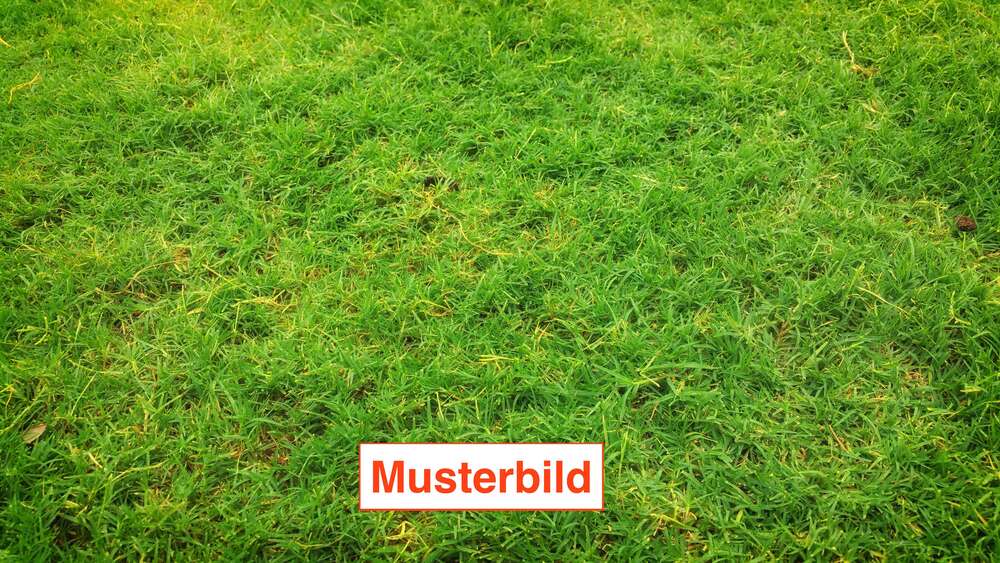 Grundstück Krefeld Fischeln - 610.000&euro; | Angebot:26145231