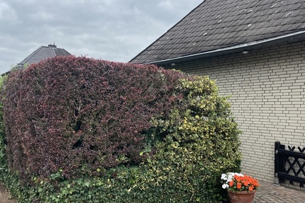 - Haus Dormagen Hackenbroich | Angebot:27235591