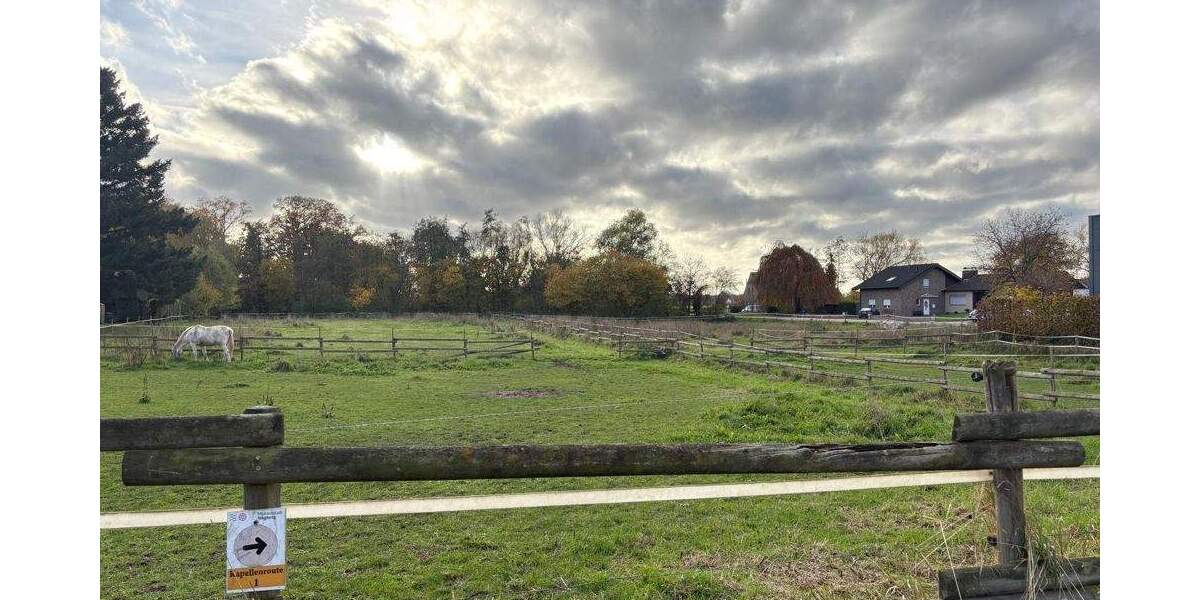 Einfamilienhaus Wegberg / Moorshoven Moorshoven - 8 Zimmer, 287 m&sup2;, 295.000&euro; | Angebot:25665589