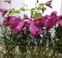 Etagenwohnung Düsseldorf Rath - 3 Zimmer, 92 m&sup2;, 1.250&euro; | Angebot:25774706