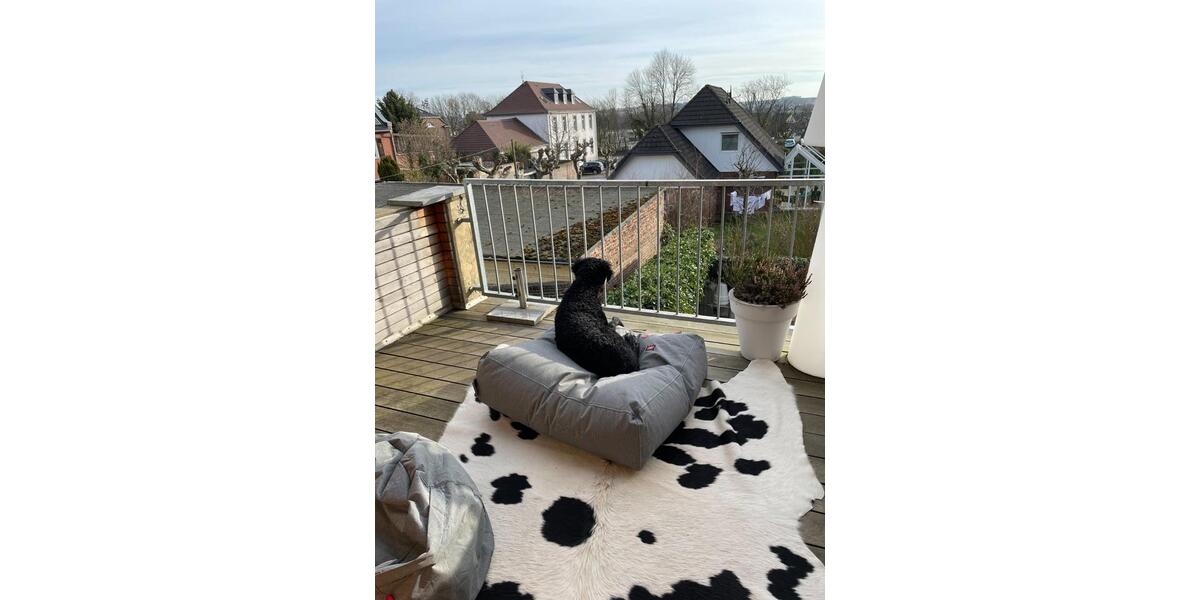 Einfamilienhaus Linnich - 11 Zimmer, 295 m&sup2;, 498.000&euro; | Angebot:24766956