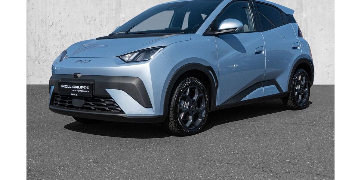 BYD DOLPHIN 5.000 km 22.740 &euro; Düsseldorf 40474