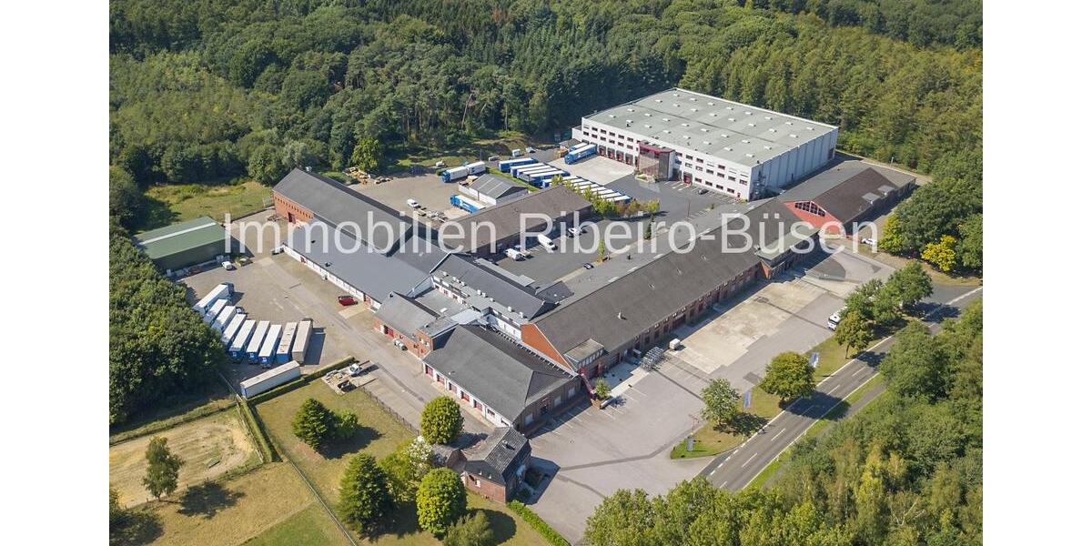 Gewerbeobjekt Niederkrüchten - 2.824&euro; | Angebot:24663240