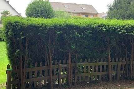 Wohnung Jüchen Hochneukirch - 3 Zimmer, 75 m&sup2;, 449&euro; | Angebot:26152828