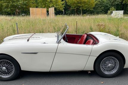 Austin Healey Andere 53.000 km 59.000 &euro; Kaarst 41564