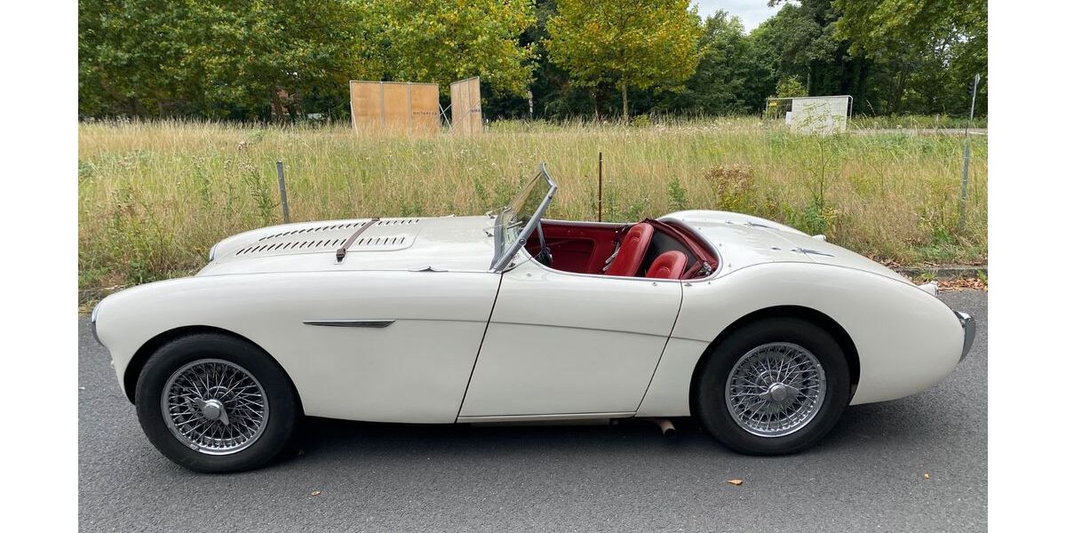Austin Healey Andere 53.000 km 59.000 &euro; Kaarst 41564