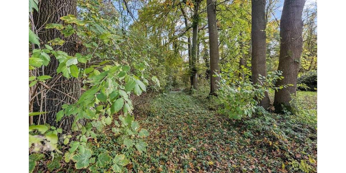 Einfamilienhaus Grevenbroich / Kapellen Kapellen - 5 Zimmer, 216 m&sup2;, 750.000&euro; | Angebot:25689632