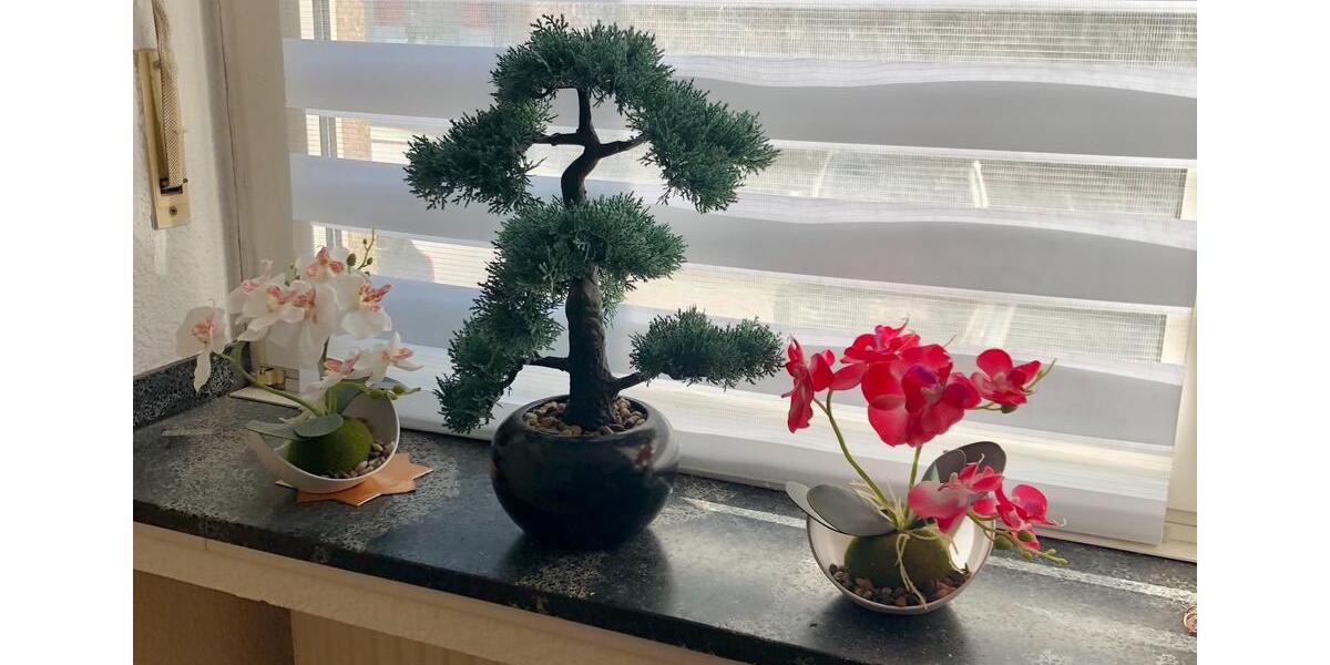 Erdgeschoßwohnung Düsseldorf Derendorf - 2 Zimmer, 45 m&sup2;, 189.000&euro; | Angebot:25943151