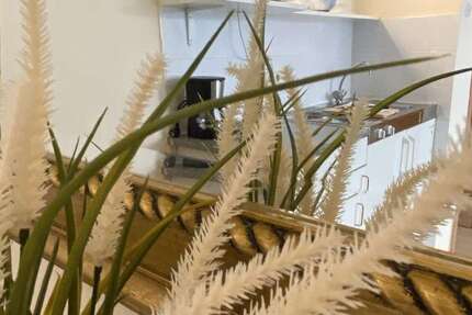 Wohnung Düsseldorf Pempelfort - 1 Zimmer, 27 m&sup2;, 650&euro; | Angebot:27349737
