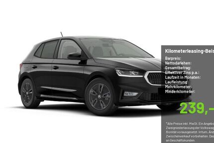 Skoda Fabia 3.333 km 24.390 &euro; Pulheim-Brauweiler 50259