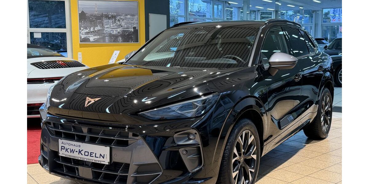 Cupra Terramar 18.000 km 33.999 &euro; Kerpen 50171