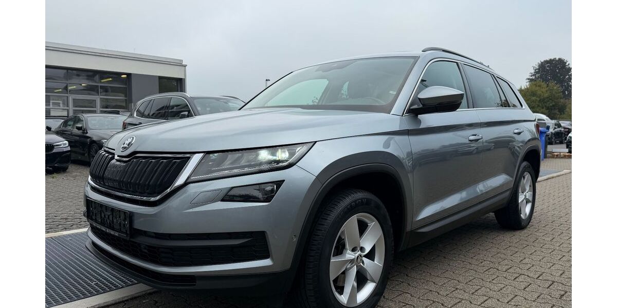 Skoda Kodiaq 180.000 km 17.990 &euro; Hilden 40721